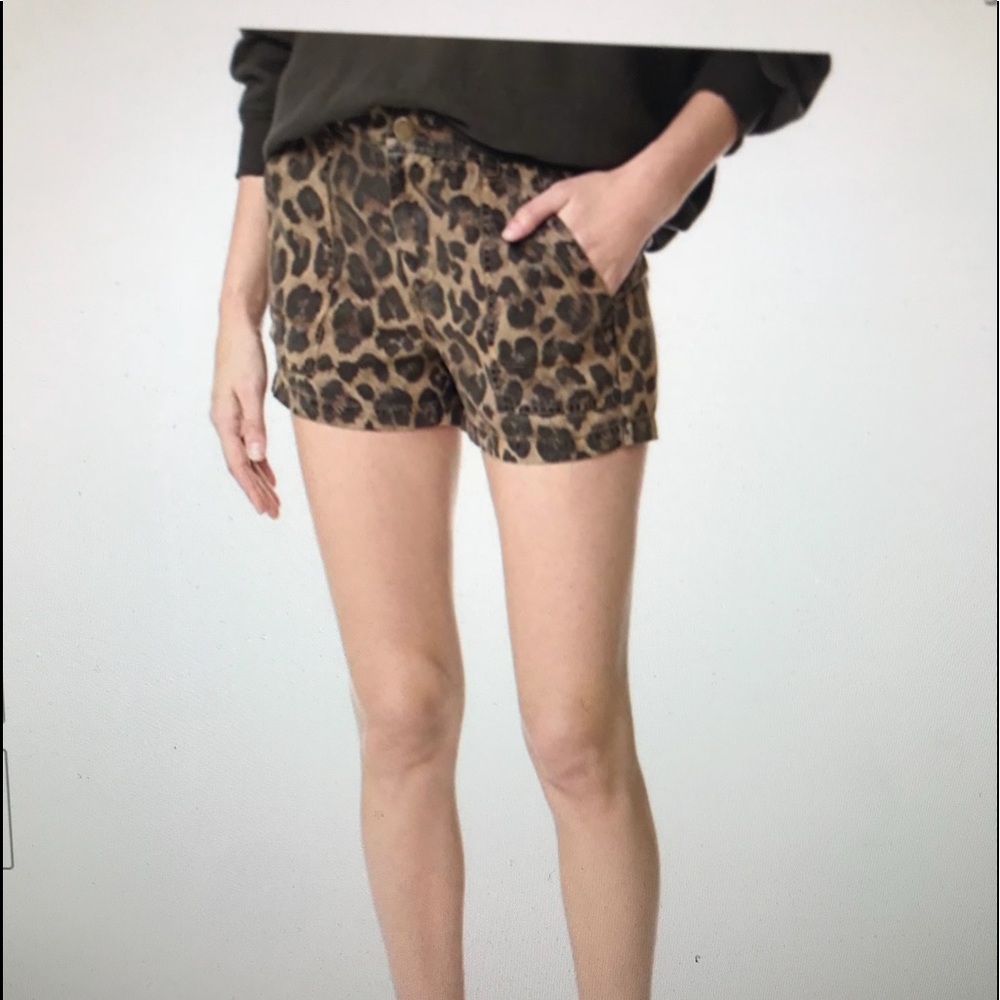 PAM & GELA || $165 Leopard Short Shorts